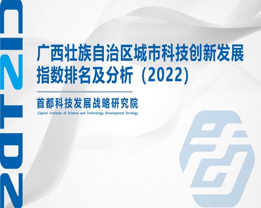 屌插屄aV【成果发布】广西壮族自治区城市科技创新发展指数排名及分析（2022）